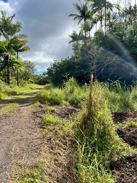 North Road, Pahoa, HI 96778