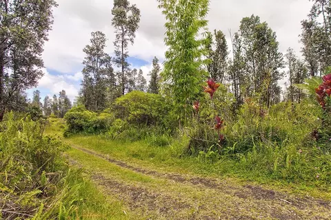 16-1925 Koloa Maoli Rd, Kurtistown, HI 96760