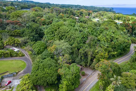 27-437 Old Mamalahoa Hwy, Papaikou, HI 96781