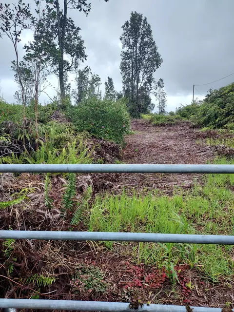 Lehua St, Mountain View, HI 96771