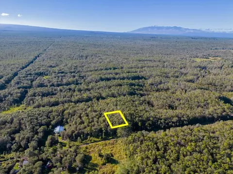 18-2038 Wainani St, Volcano, HI 96785