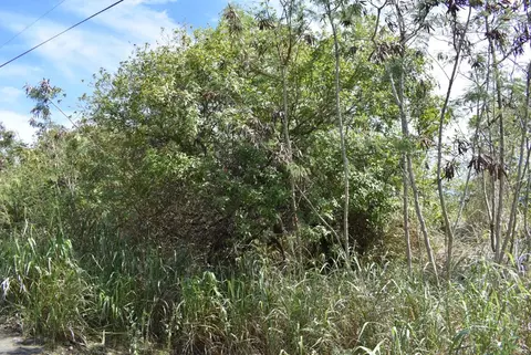 Poko St, Naalehu, HI 96772