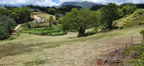 helena ln, Kapaa, HI 96746
