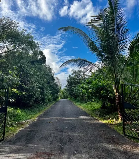 Kapoho Kalapana Rd, Pahoa, HI 96778