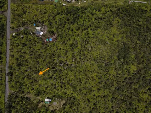 Kaleponi Dr, Volcano, HI 96785