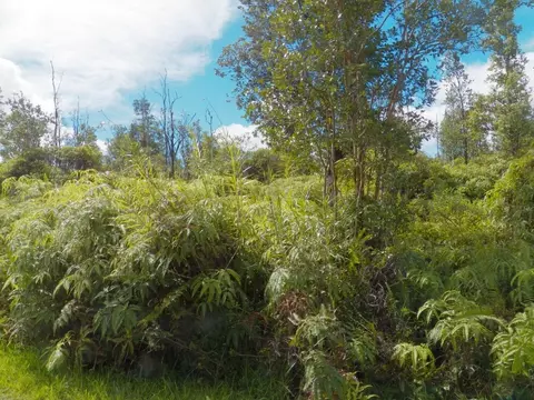 Road 2, Mountain View, HI 96760