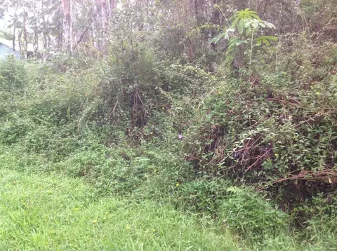 Lehua Rd, Pahoa, HI 96778