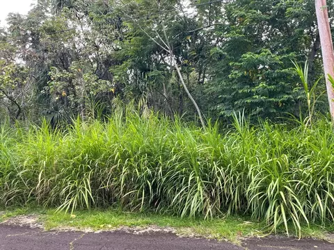 Wehelauniu St, Pahoa, HI 96778