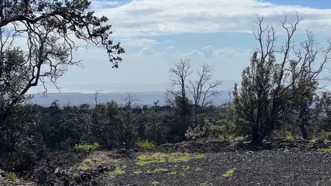 92-1918 Princess Kauilani Blvd, Ocean View, HI 96737