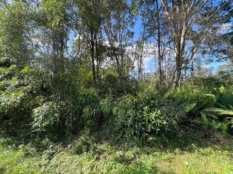 Aloha Dr, Kurtistown, HI 96760