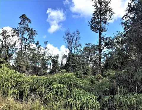 S Apele Rd, Mountain View, HI 96771