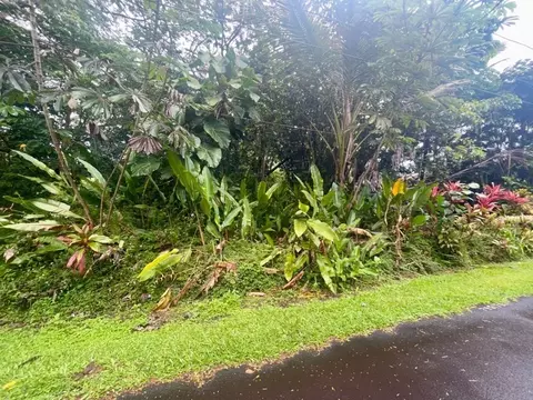 S Lot 797 Lalakea St, Pahoa, HI 96778