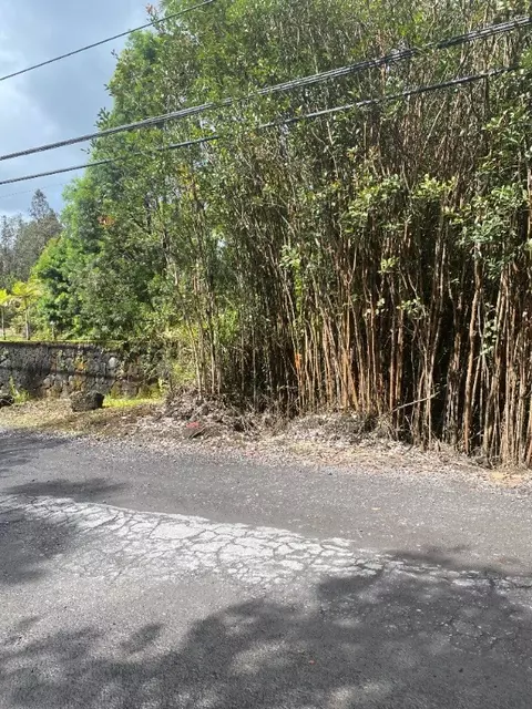Road 1, Mountain View, HI 96760