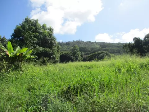 Undisclosed, Anahola, HI 96703