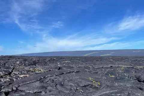 Undisclosed, Pahoa, HI 96778