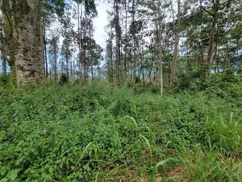 Pahoa Rd, Pahoa, HI 96778