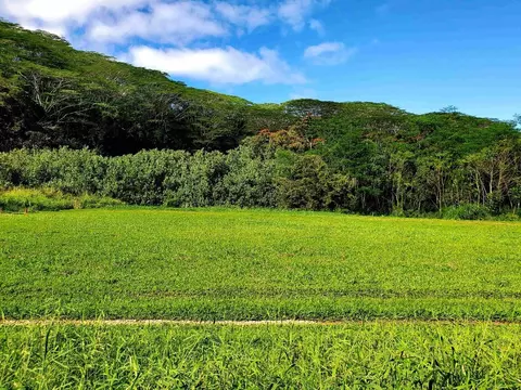 Undisclosed, Kilauea, HI 96754