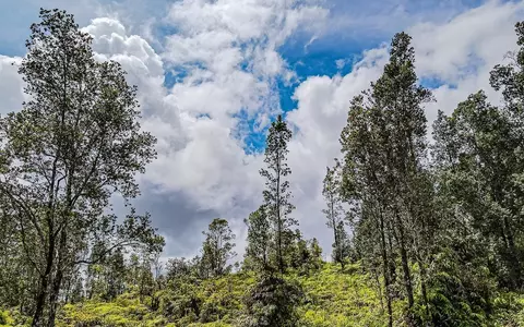 25-2999 Kaumana Dr, Hilo, HI 96720