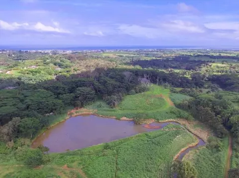 Undisclosed, Kapaa, HI 96746