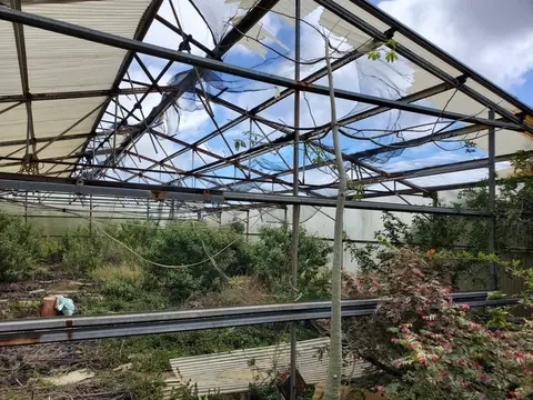 94-6522 Palaoa Rd, Naalehu, HI 96772