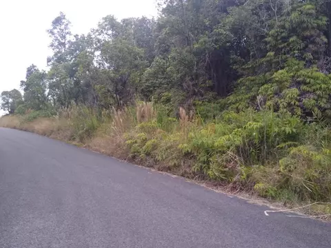 Holana St, Volcano, HI 96785