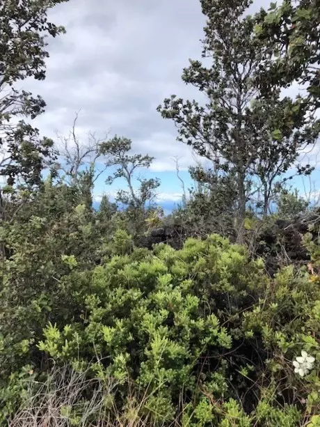 Tiki Ln, Ocean View, HI 96737