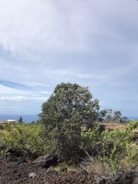Kohala Blvd, Ocean View, HI 96737