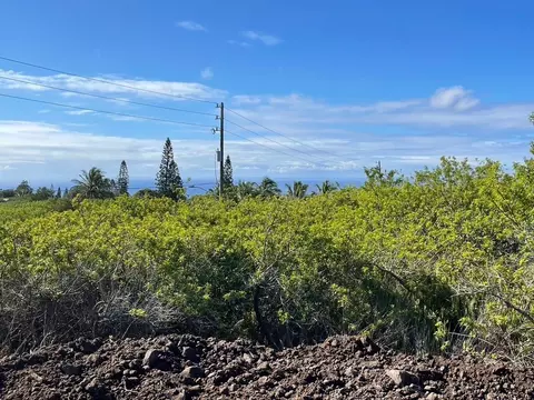 Wakea Ave, Naalehu, HI 96772