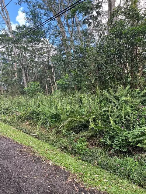N Nohea St, Pahoa, HI 96778
