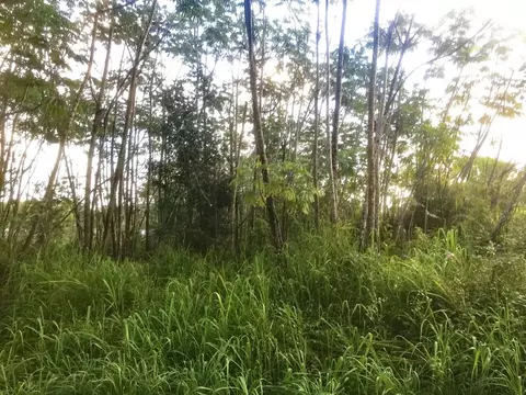 Makuu Dr, Keaau, HI 96749