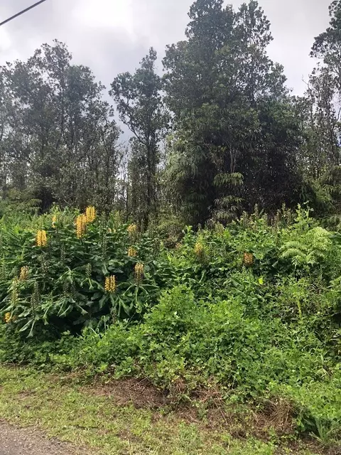 Uluhemalu Rd, Volcano, HI 96785