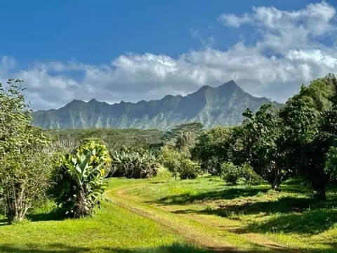 Undisclosed, Kilauea, HI 96754