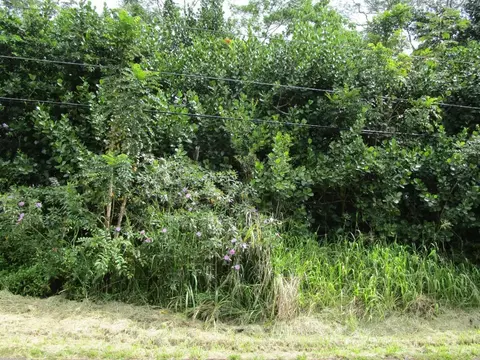Beach Rd, Keaau, HI 96749