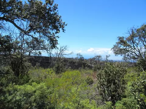 Hukilau & Liliana, Ocean View, HI 96737