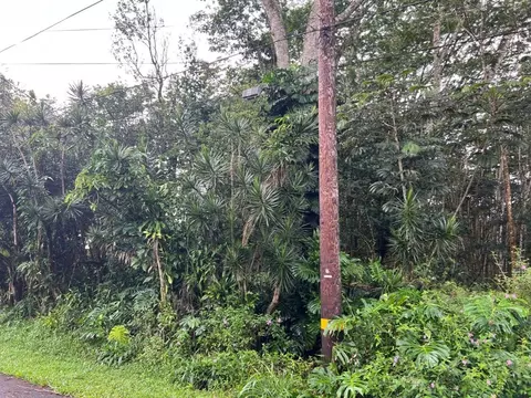 15-2702 N Hinalea St, Pahoa, HI 96778