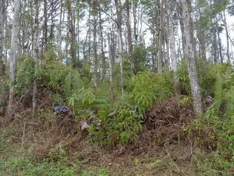 Lanai Rd, Pahoa, HI 96778