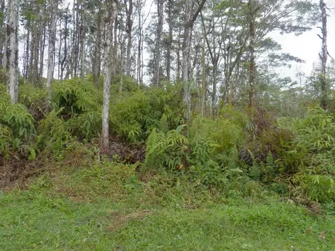 Lanai Rd, Pahoa, HI 96778