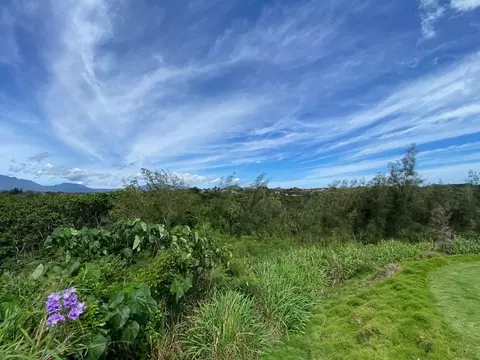 3480 Kahumoku Rd #4, Lihue, HI 96766