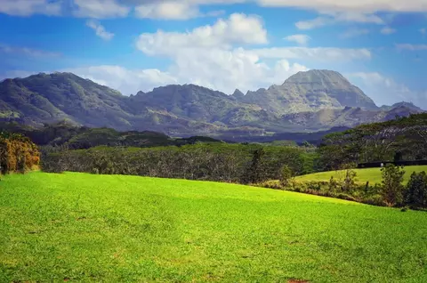 2-3990 Kaumualii Hwy, Koloa, HI 96756