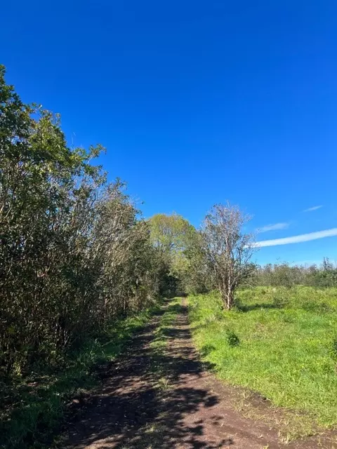 15-275 North Rd, Pahoa, HI 96778