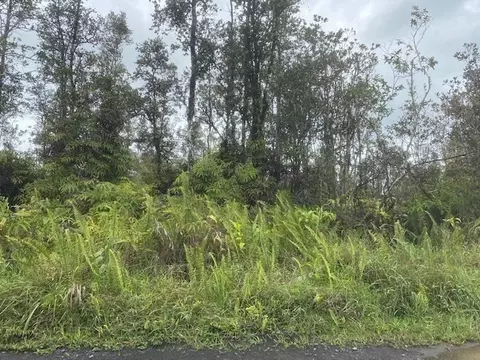 Road 4, Mountain View, HI 96760