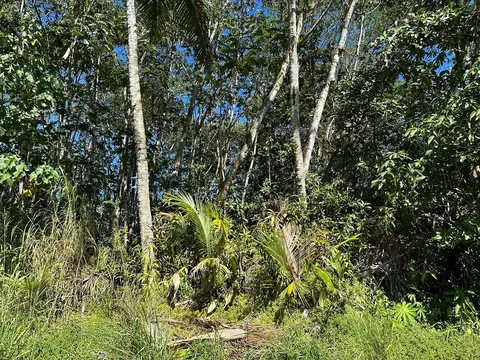 N Hou St, Pahoa, HI 96778