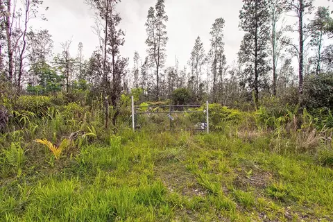 Road 2, Mountain View, HI 96760