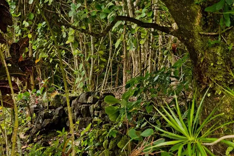 Pilikai Rd, Keaau, HI 96749