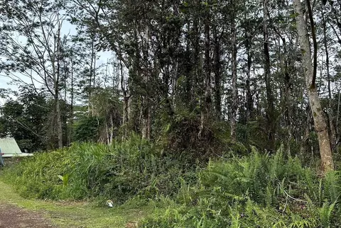 Colby Circle, Pahoa, HI 96778