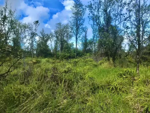 Mailenani Rd, Volcano, HI 96785