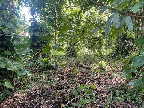 Namohala St, Pahoa, HI 96778