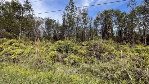 Kaleponi Dr, Volcano, HI 96785