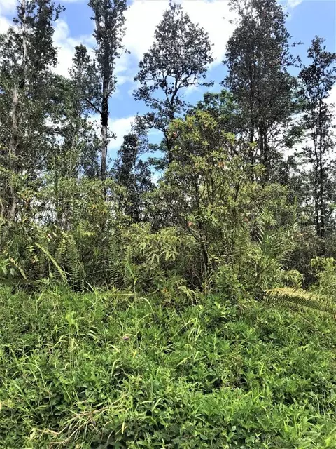 Orchid Dr, Pahoa, HI 96778