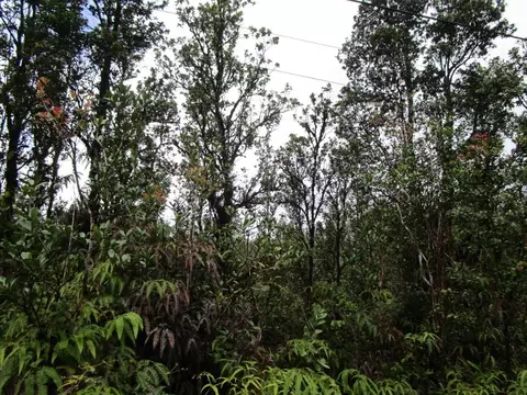 Ohia Ave, Volcano, HI 96785